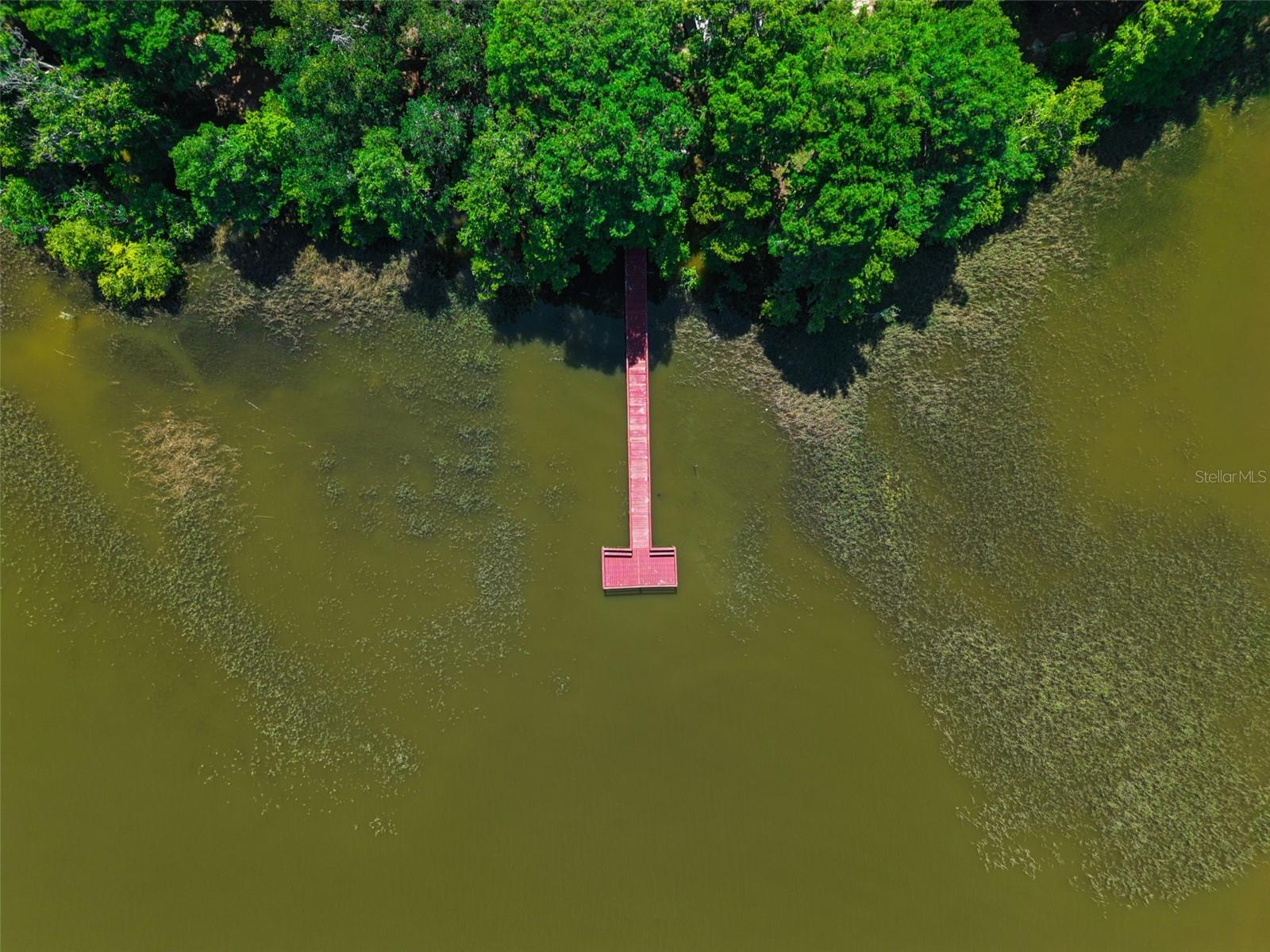 1224 PALMETTO RD, EUSTIS, FL, 32726