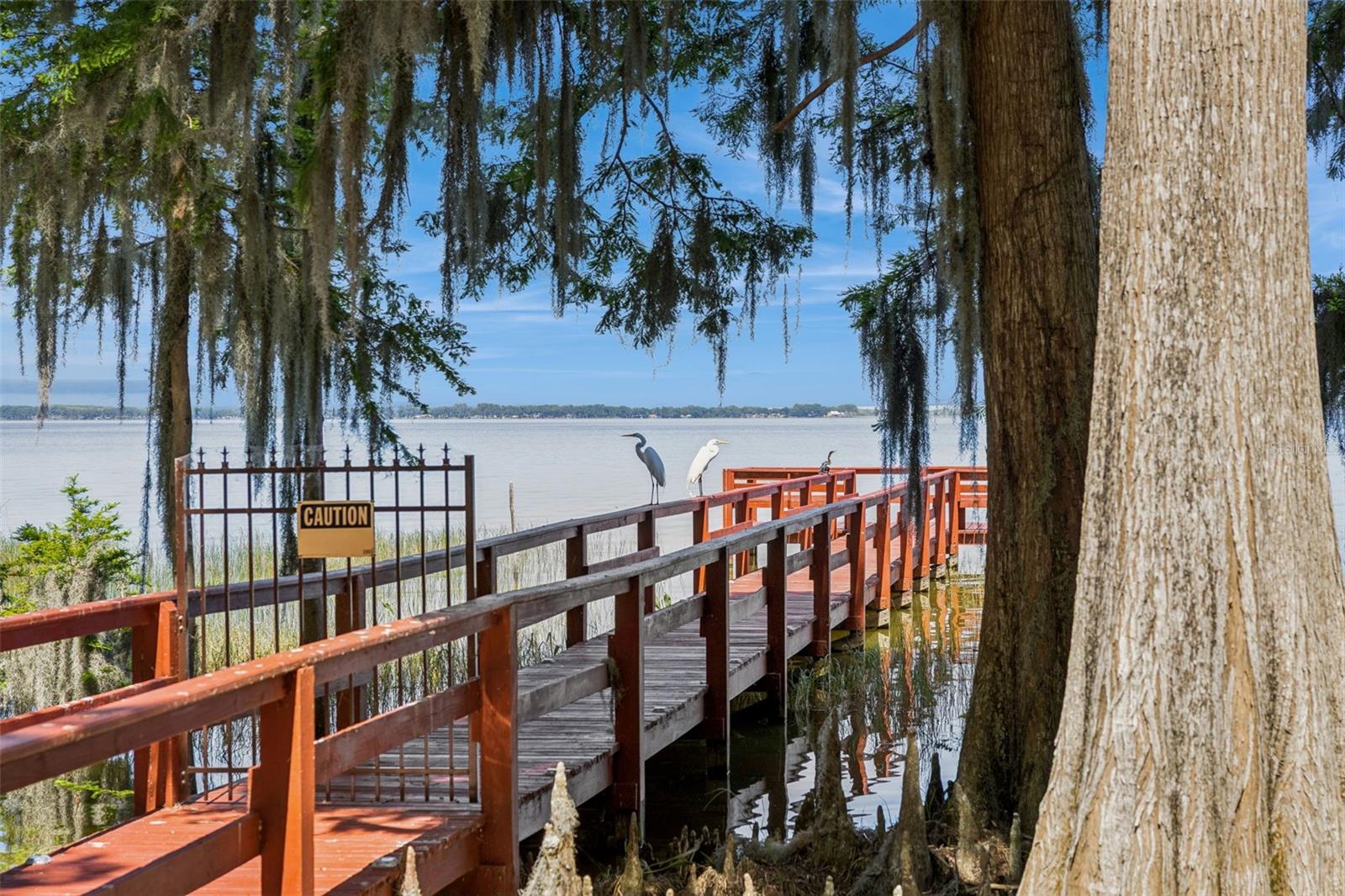 1224 PALMETTO RD, EUSTIS, FL, 32726