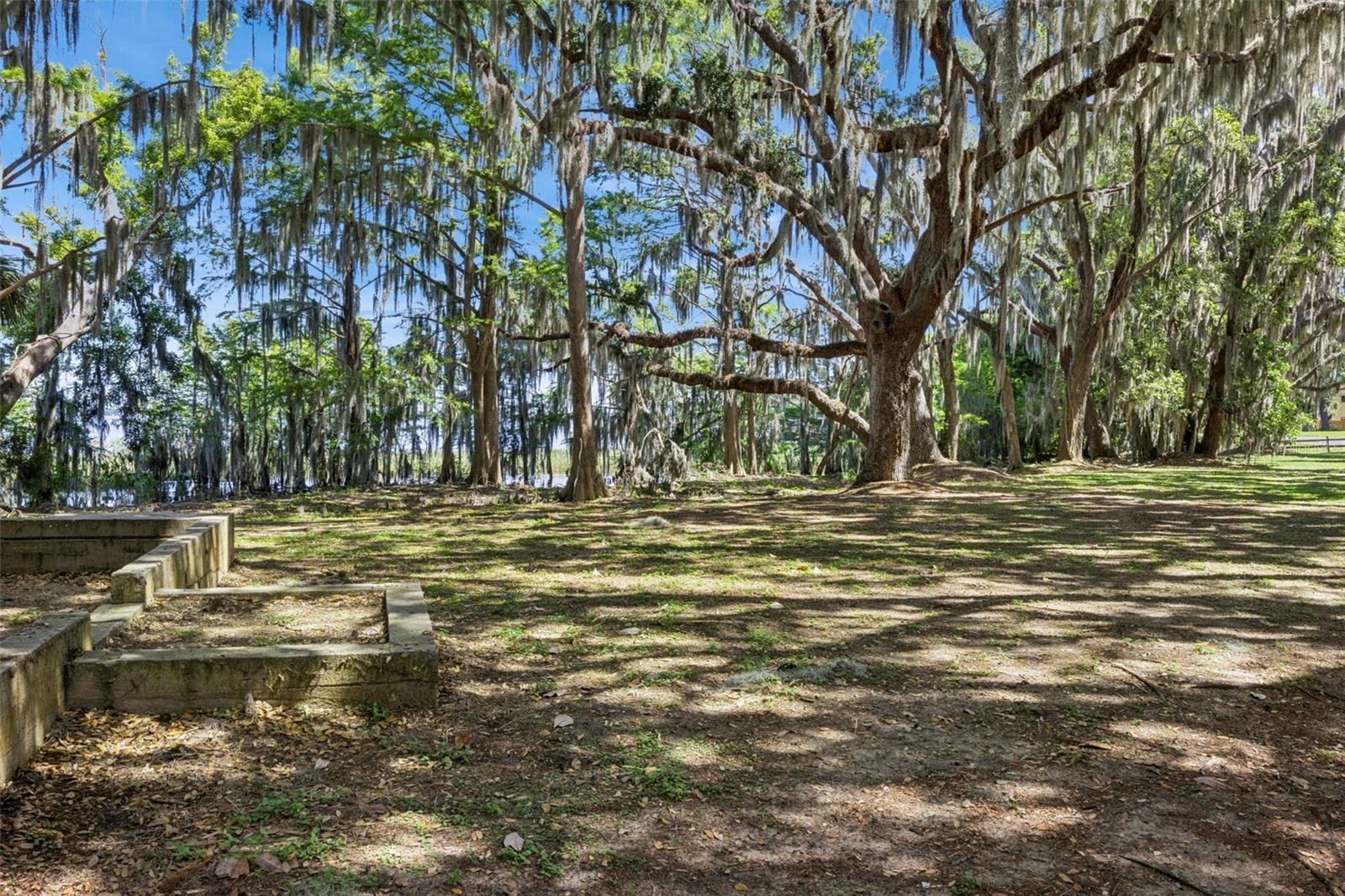 1224 PALMETTO RD, EUSTIS, FL, 32726