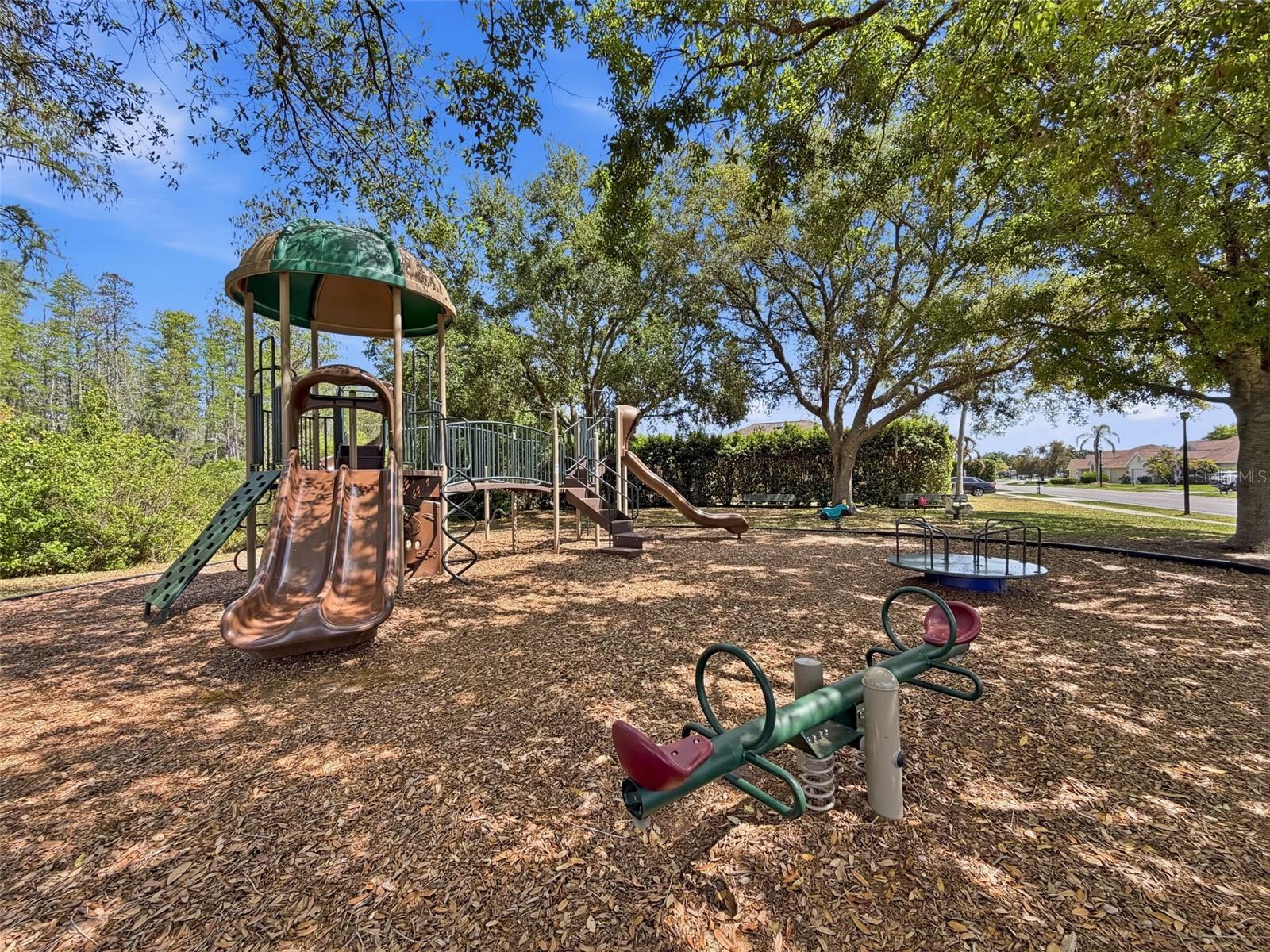 Fun at the park for the kid, or grandkids!