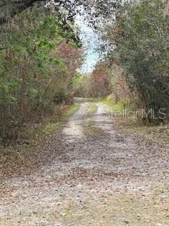 3095 PASTURES RD, KISSIMMEE, FL, 34746