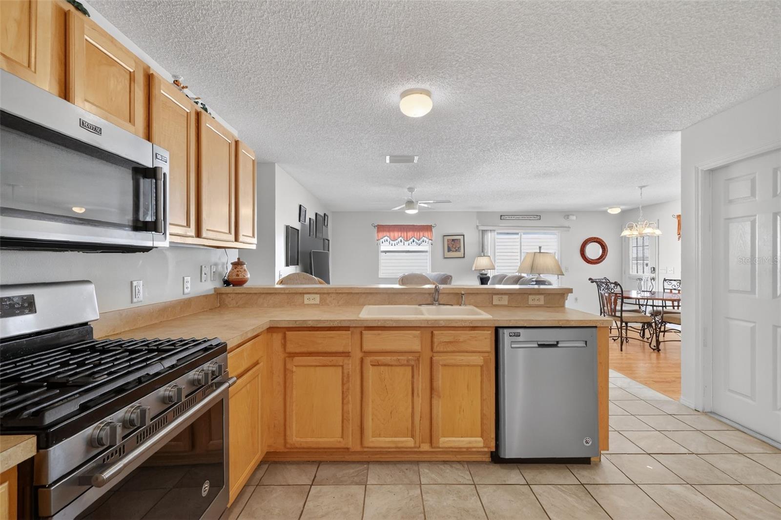 1667 ORR TER, THE VILLAGES, FL, 32162