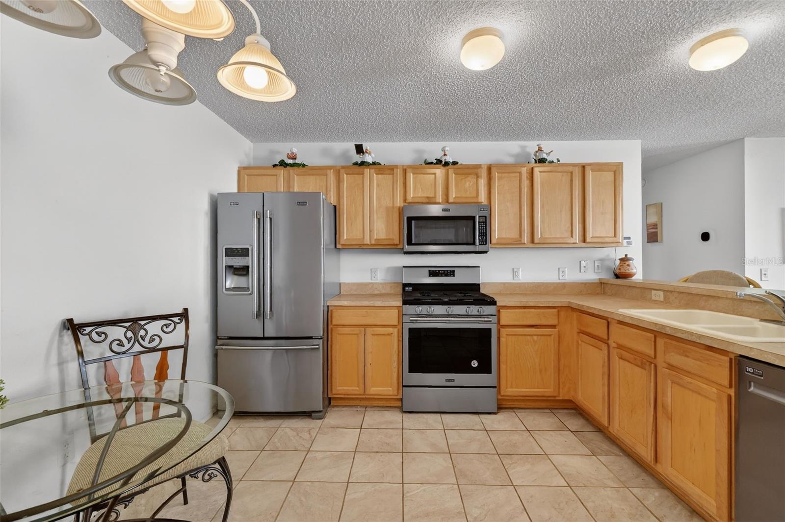 1667 ORR TER, THE VILLAGES, FL, 32162