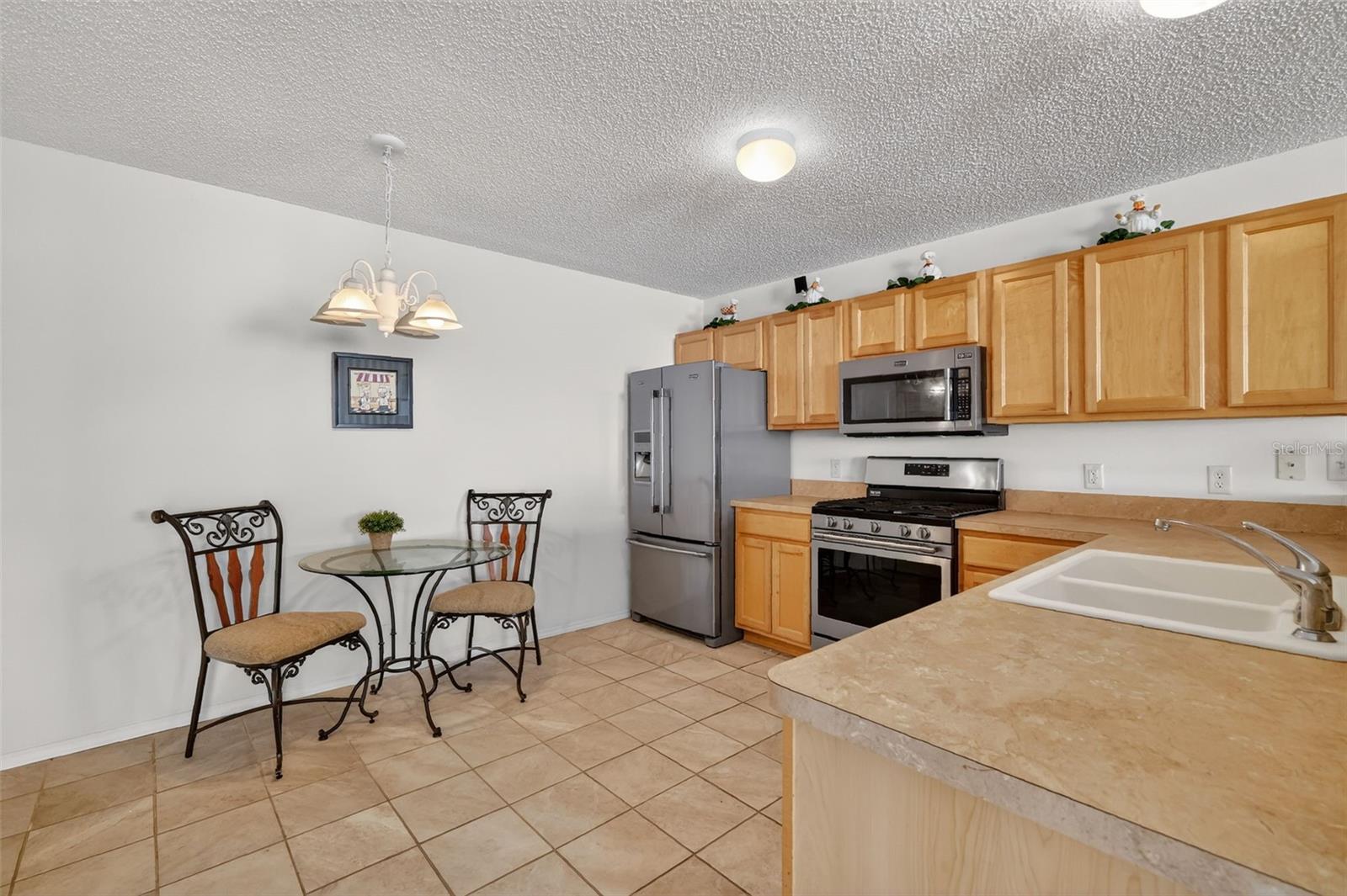 1667 ORR TER, THE VILLAGES, FL, 32162