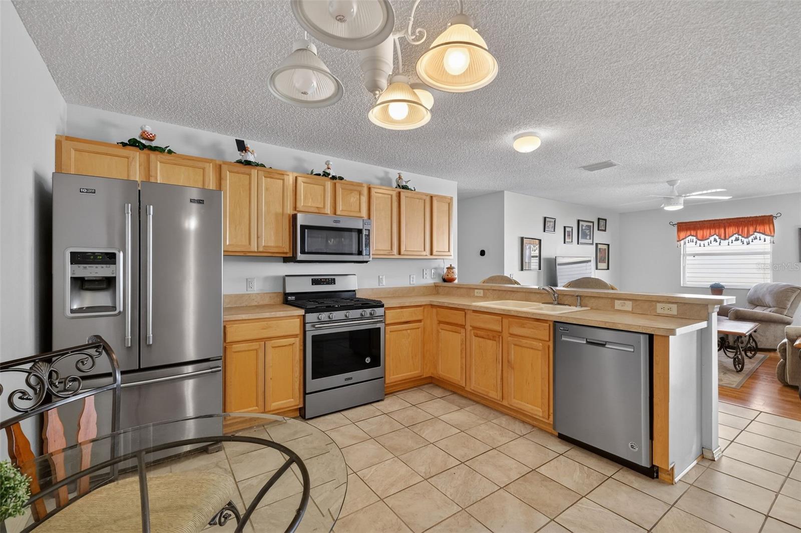 1667 ORR TER, THE VILLAGES, FL, 32162