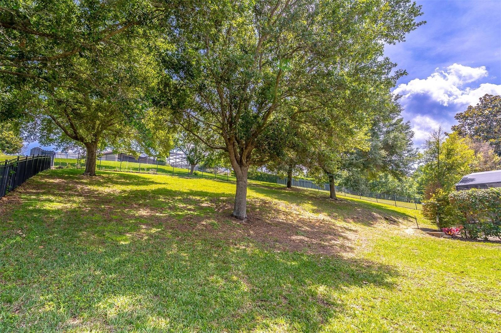 16846 FLORENCE VIEW DR, MONTVERDE, FL, 34756