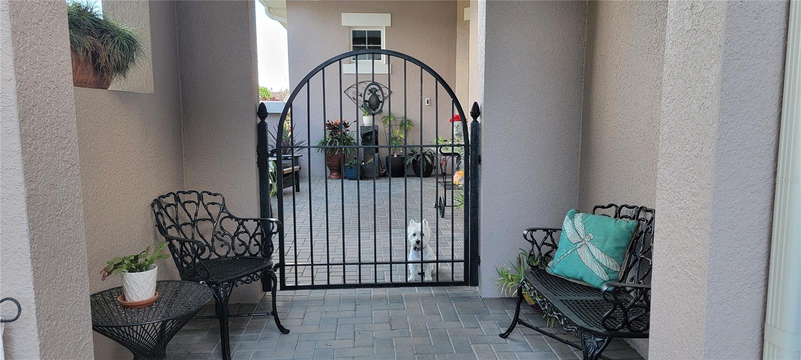 128 BALMY COAST RD, GROVELAND, FL, 34736