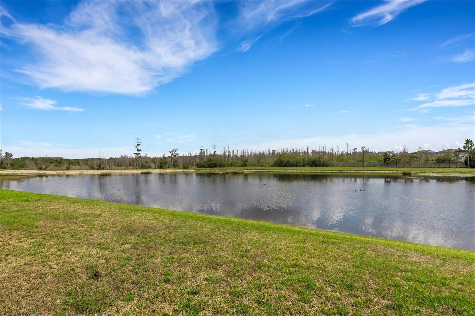 19298 BLUE POND DR, LUTZ, FL, 33558