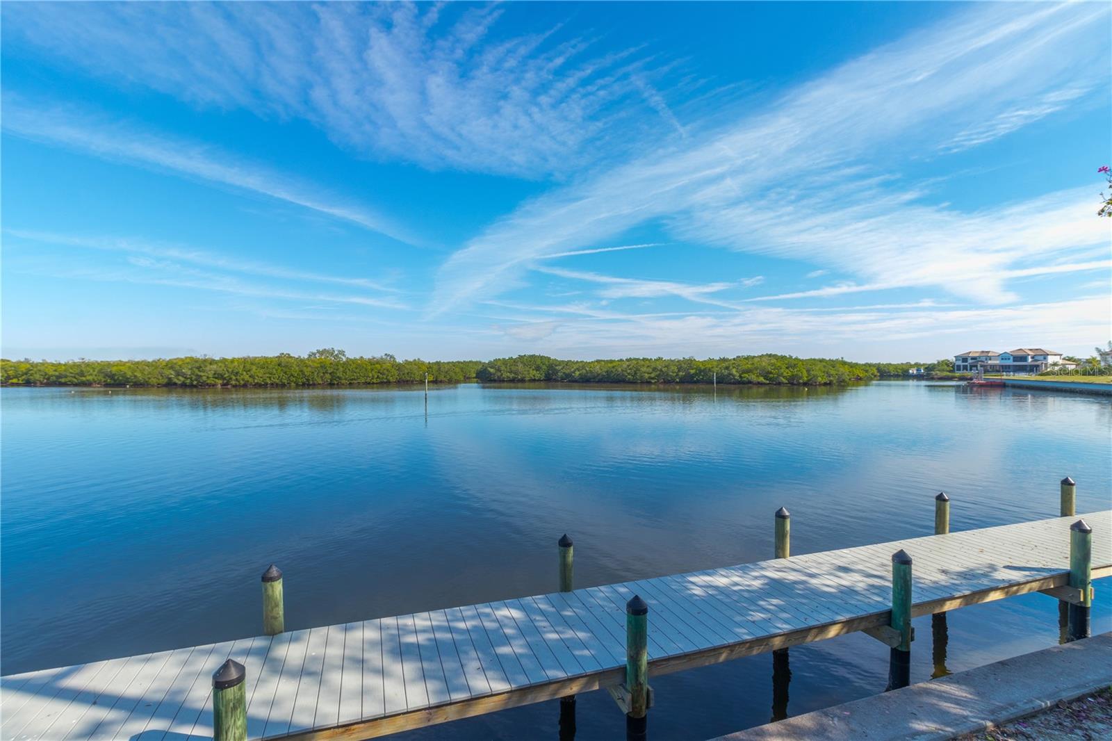 3255 MANGROVE POINT DR, RUSKIN, FL, 33570