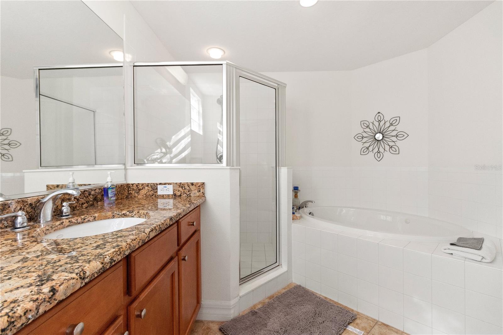 3255 MANGROVE POINT DR, RUSKIN, FL, 33570