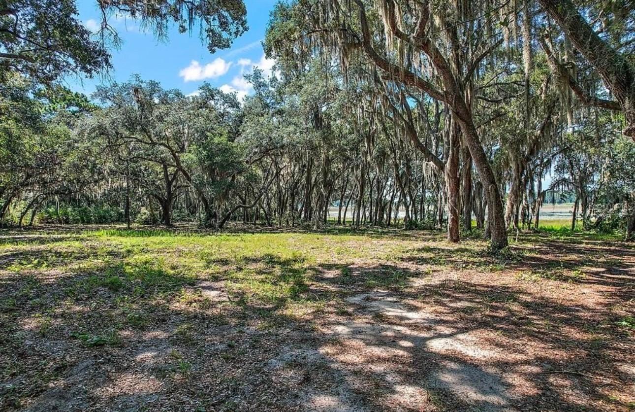 3166 BRIGHT LAKE CIR, GROVELAND, FL, 34736