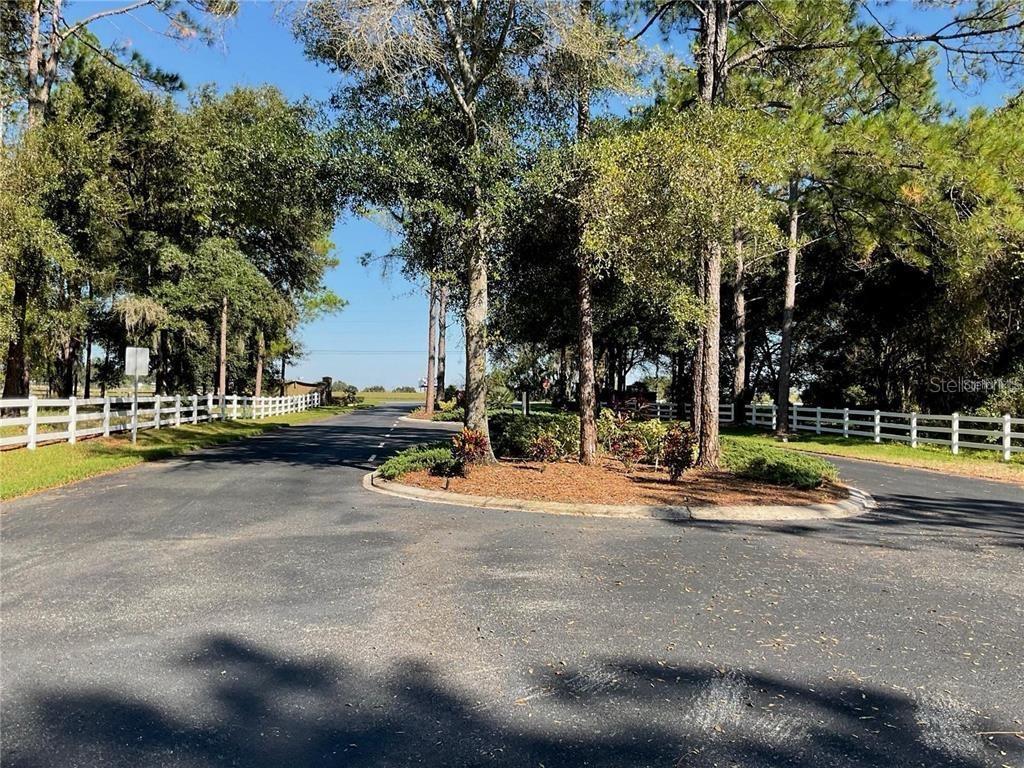 3166 BRIGHT LAKE CIR, GROVELAND, FL, 34736