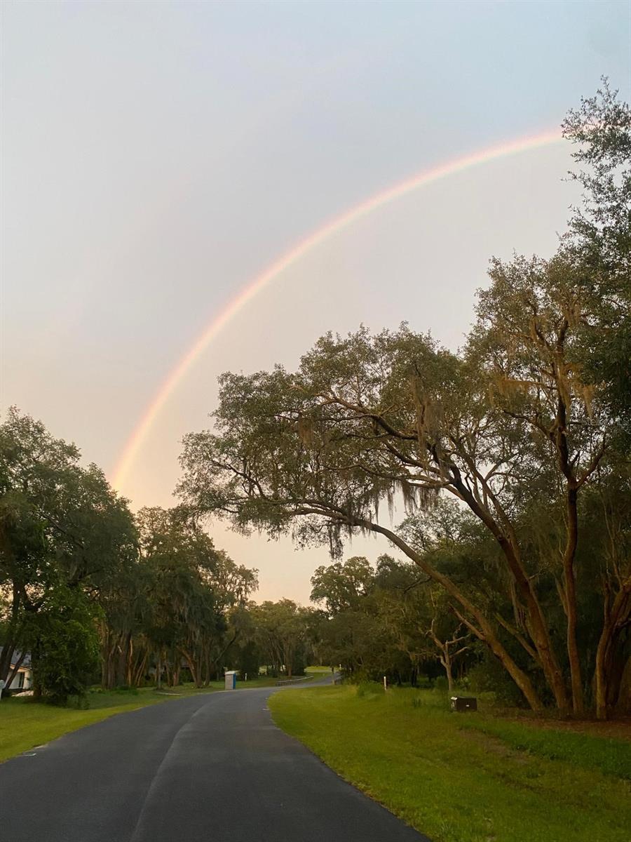 3166 BRIGHT LAKE CIR, GROVELAND, FL, 34736