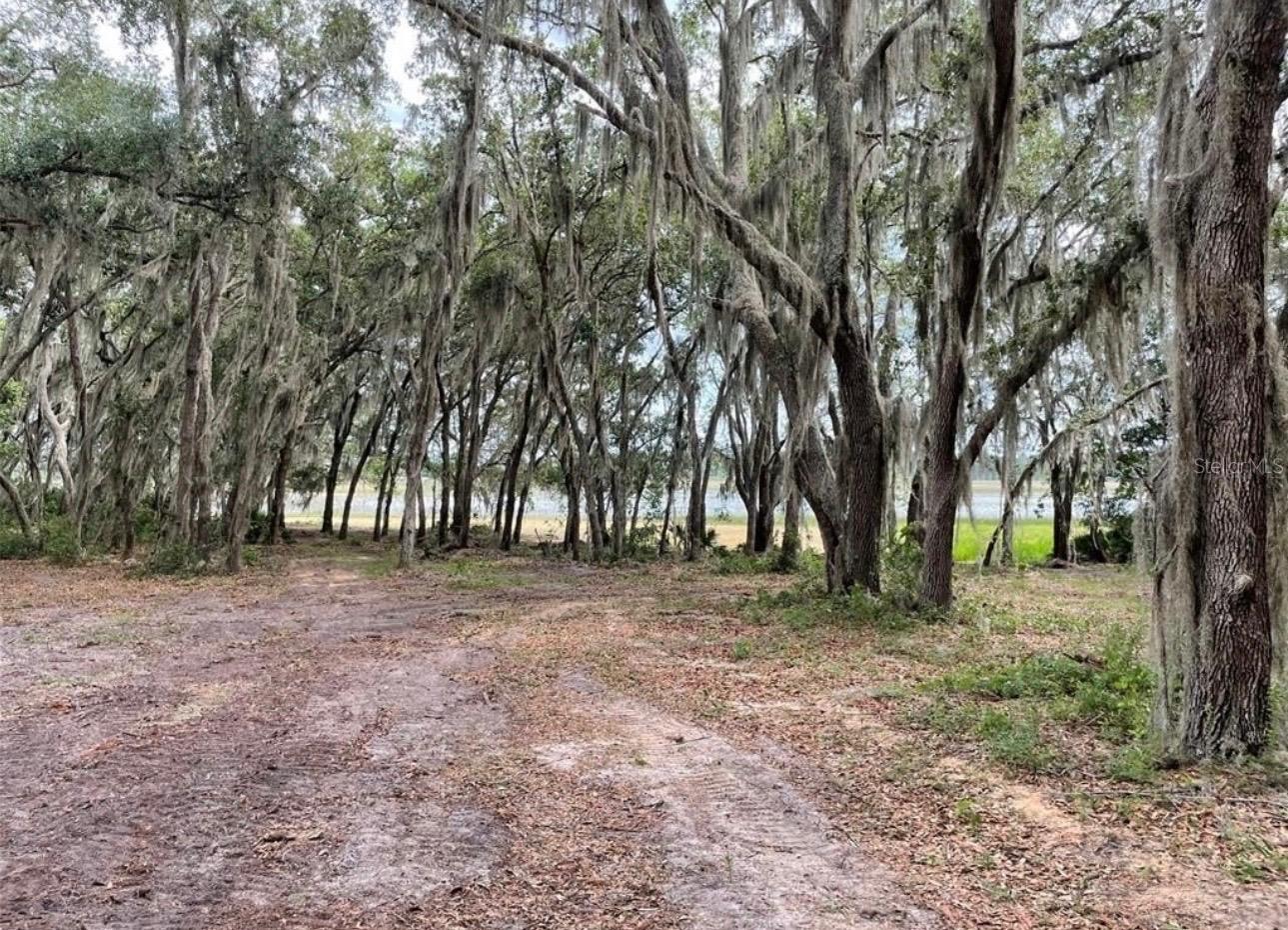 3166 BRIGHT LAKE CIR, GROVELAND, FL, 34736