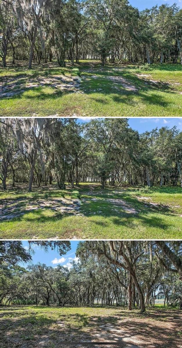 3166 BRIGHT LAKE CIR, GROVELAND, FL, 34736