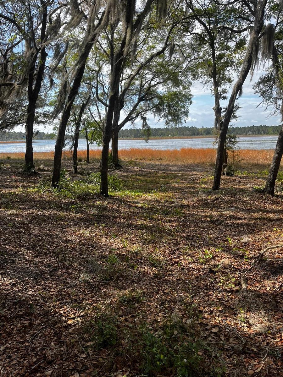 3166 BRIGHT LAKE CIR, GROVELAND, FL, 34736