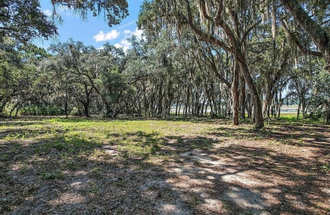 3166 BRIGHT LAKE CIR, GROVELAND, FL, 34736