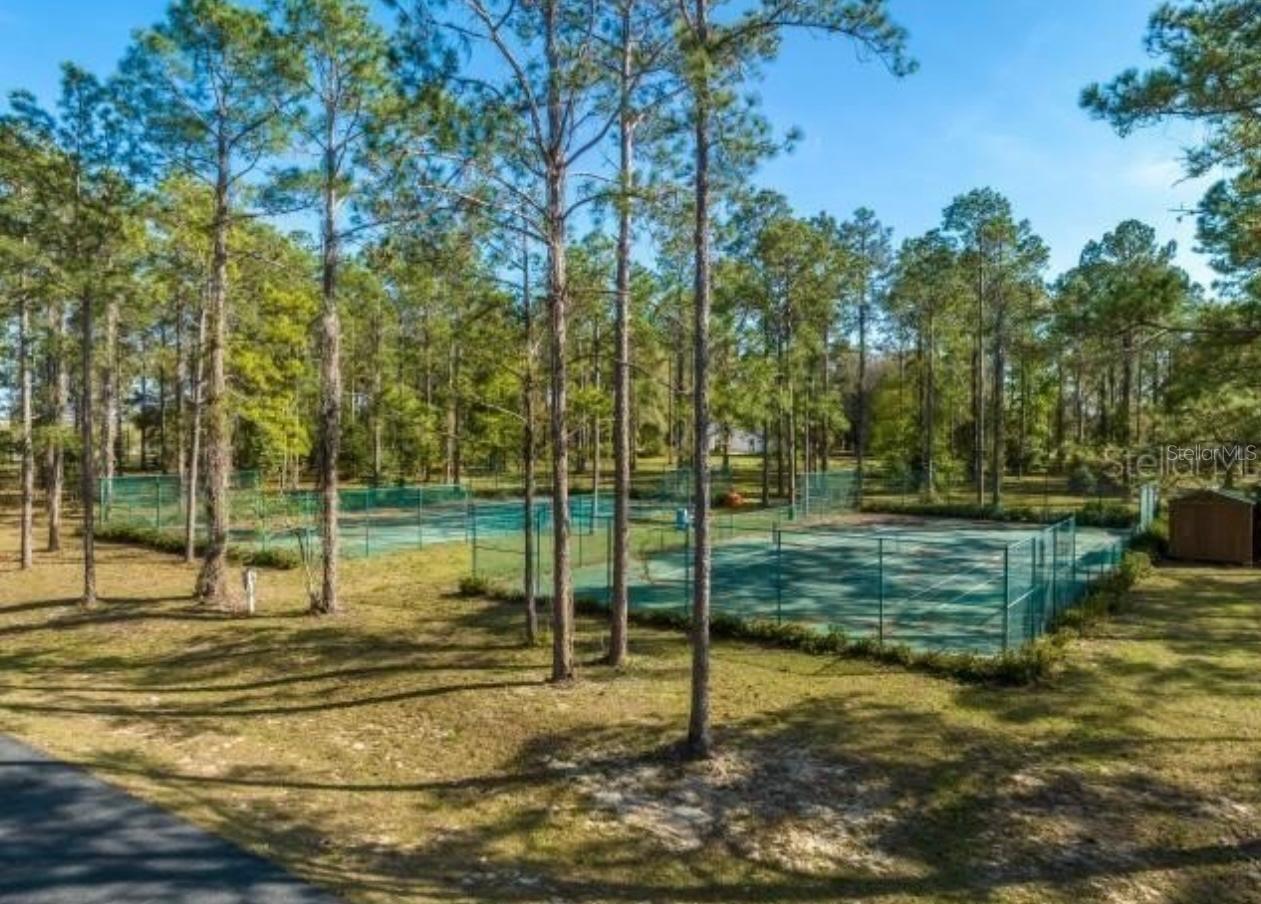 3166 BRIGHT LAKE CIR, GROVELAND, FL, 34736