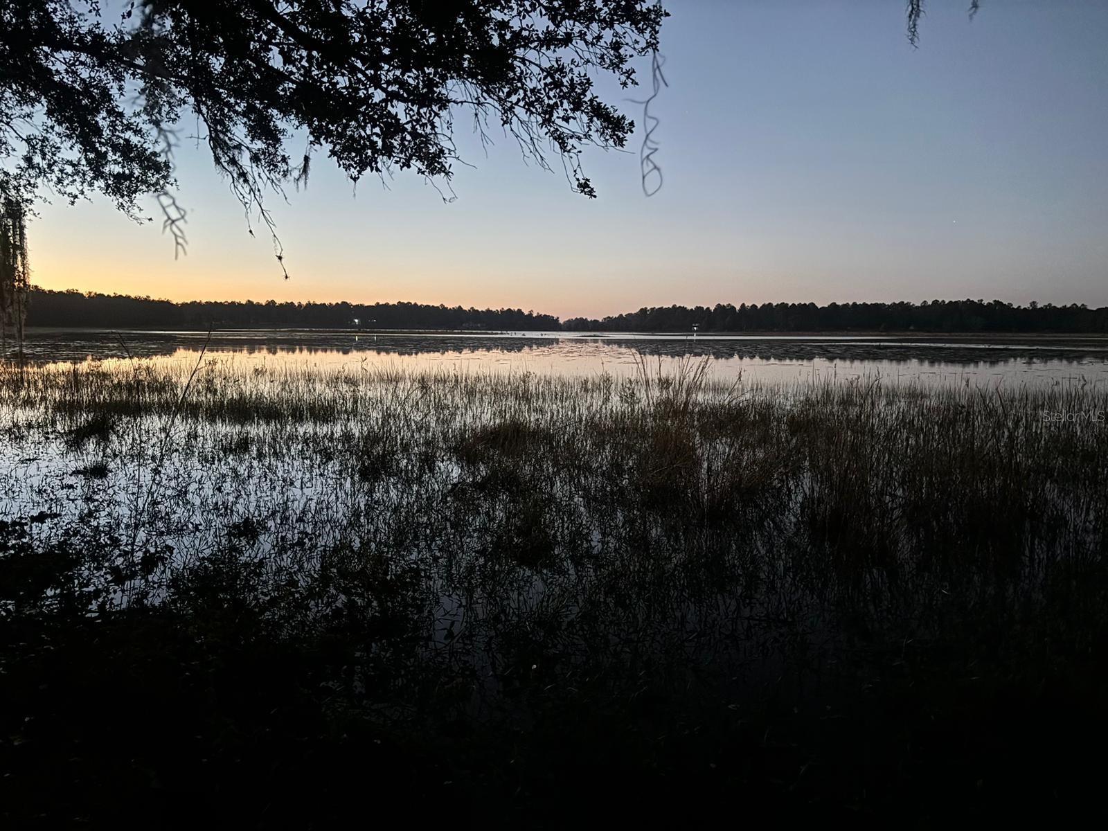 3166 BRIGHT LAKE CIR, GROVELAND, FL, 34736