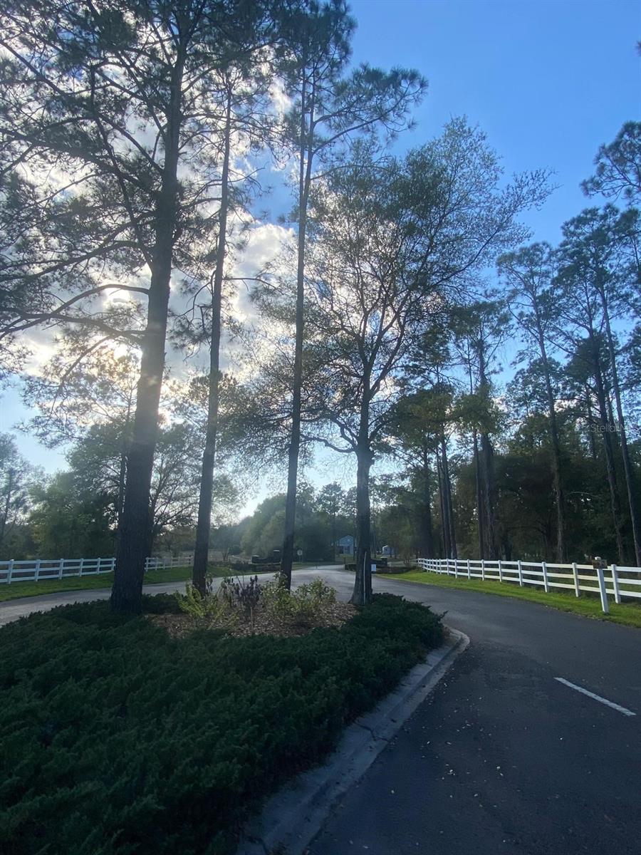 3166 BRIGHT LAKE CIR, GROVELAND, FL, 34736