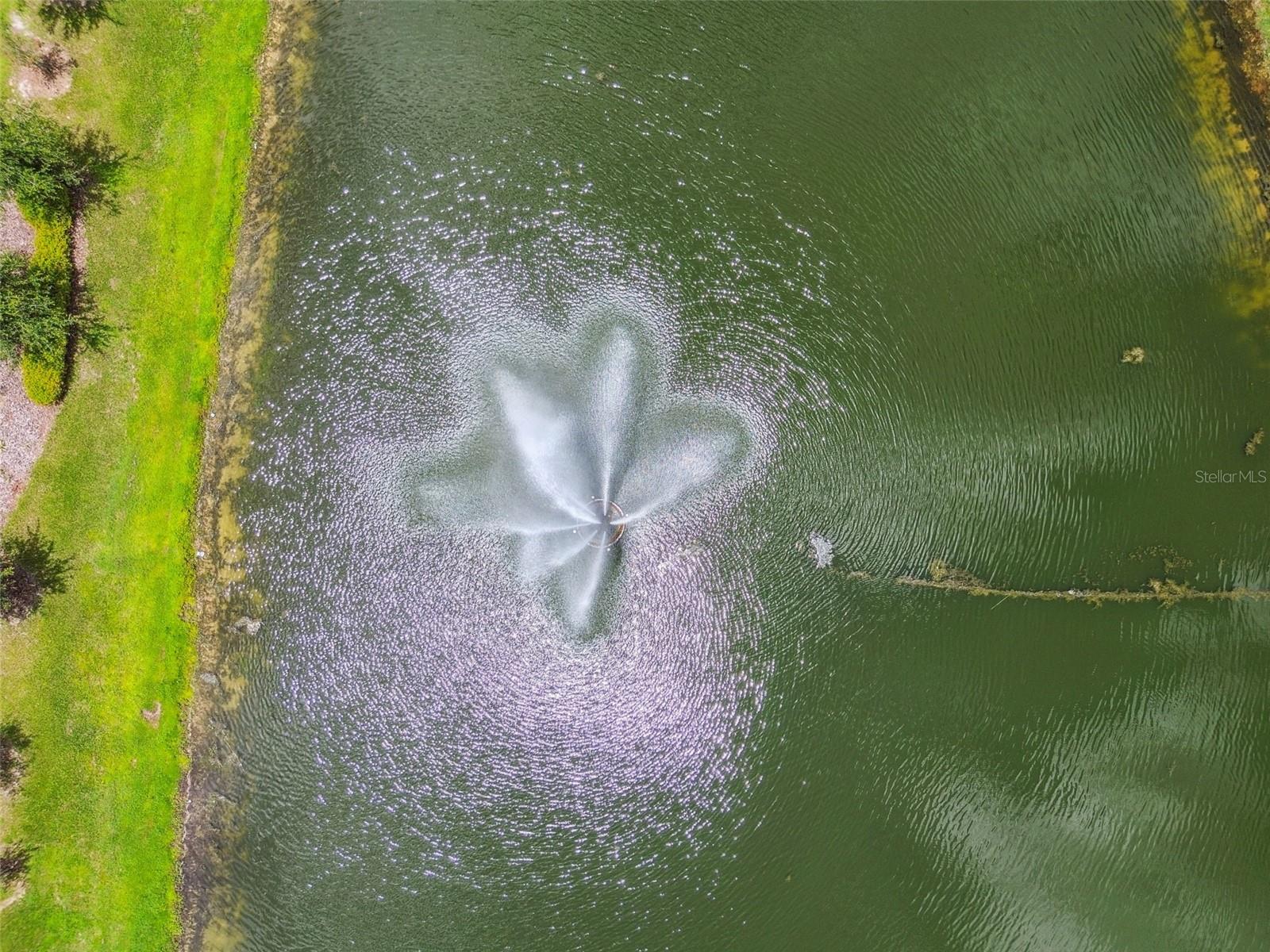 12453 HORSESHOE BEND DR, LITHIA, FL, 33547