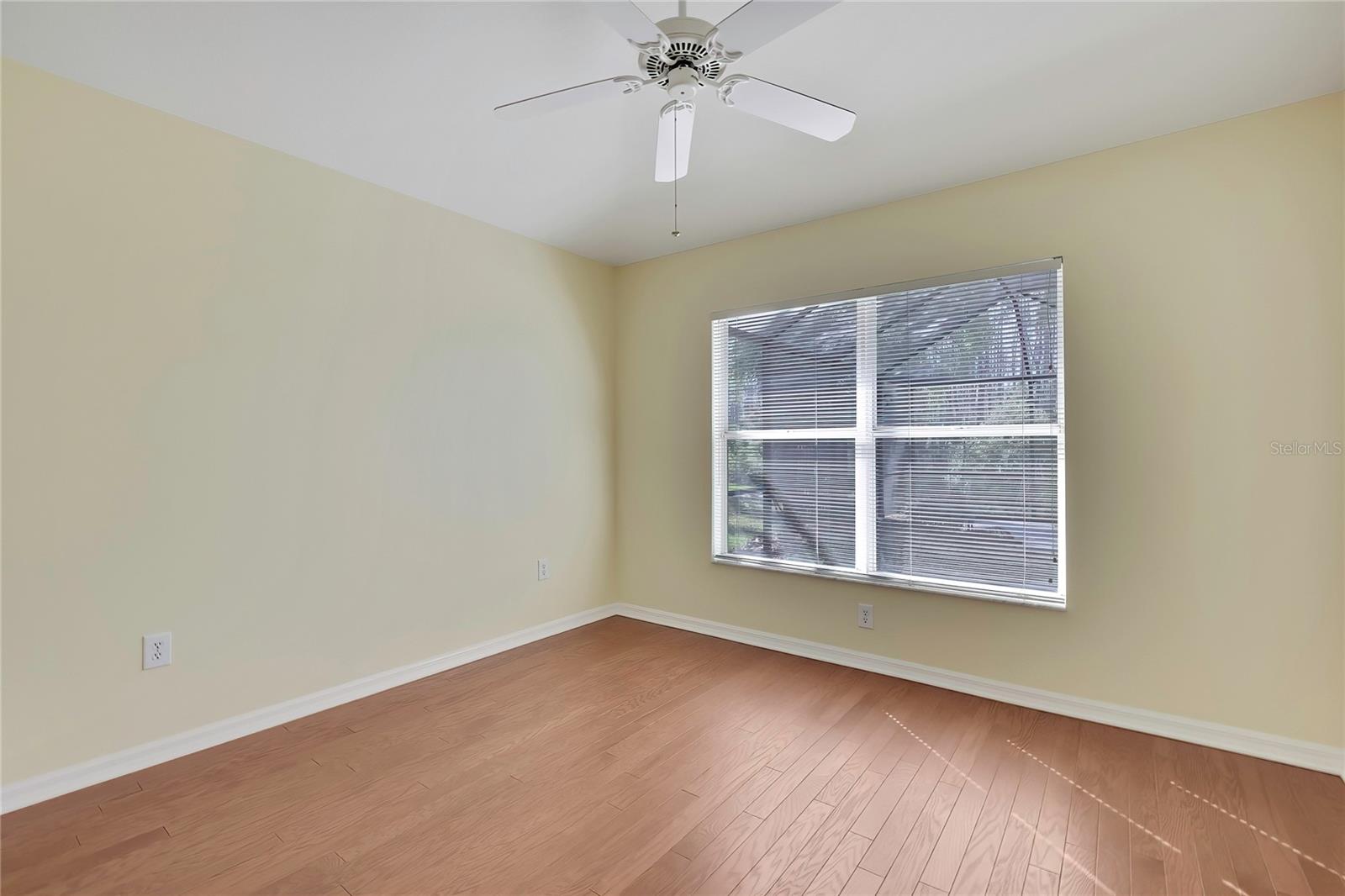 20738 NECTARINE PL, LAND O LAKES, FL, 34637