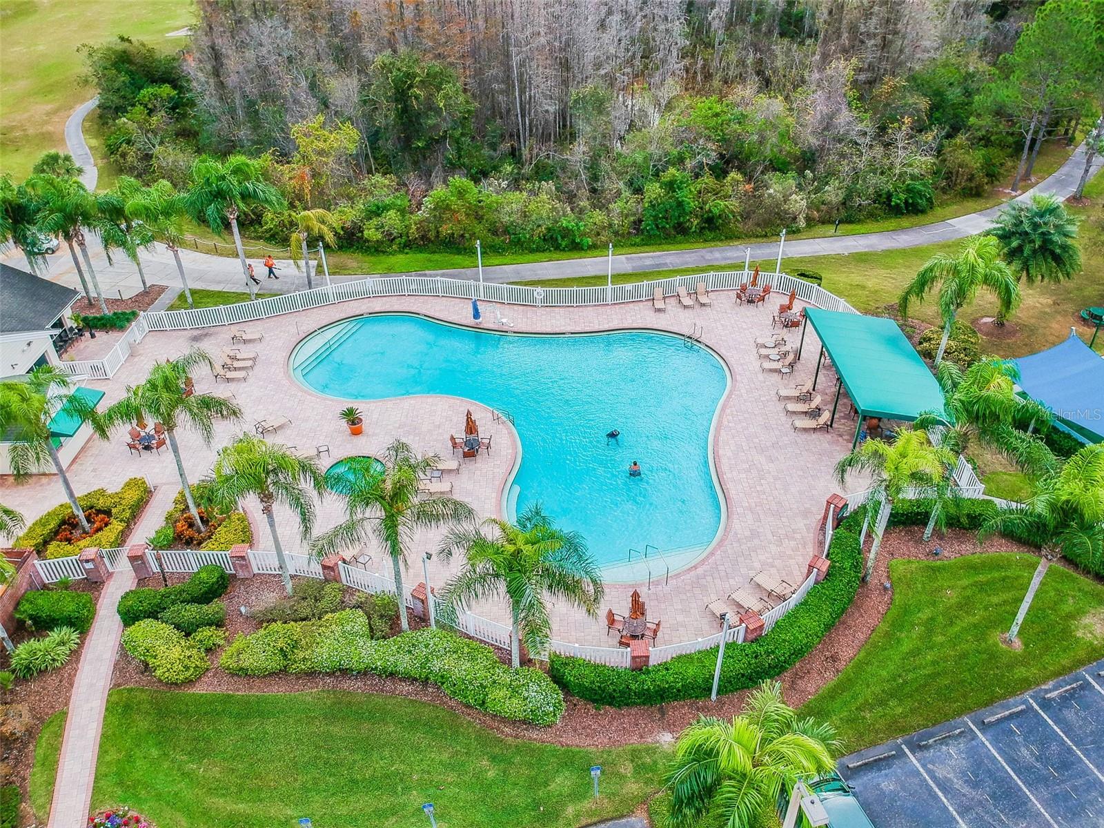 20738 NECTARINE PL, LAND O LAKES, FL, 34637