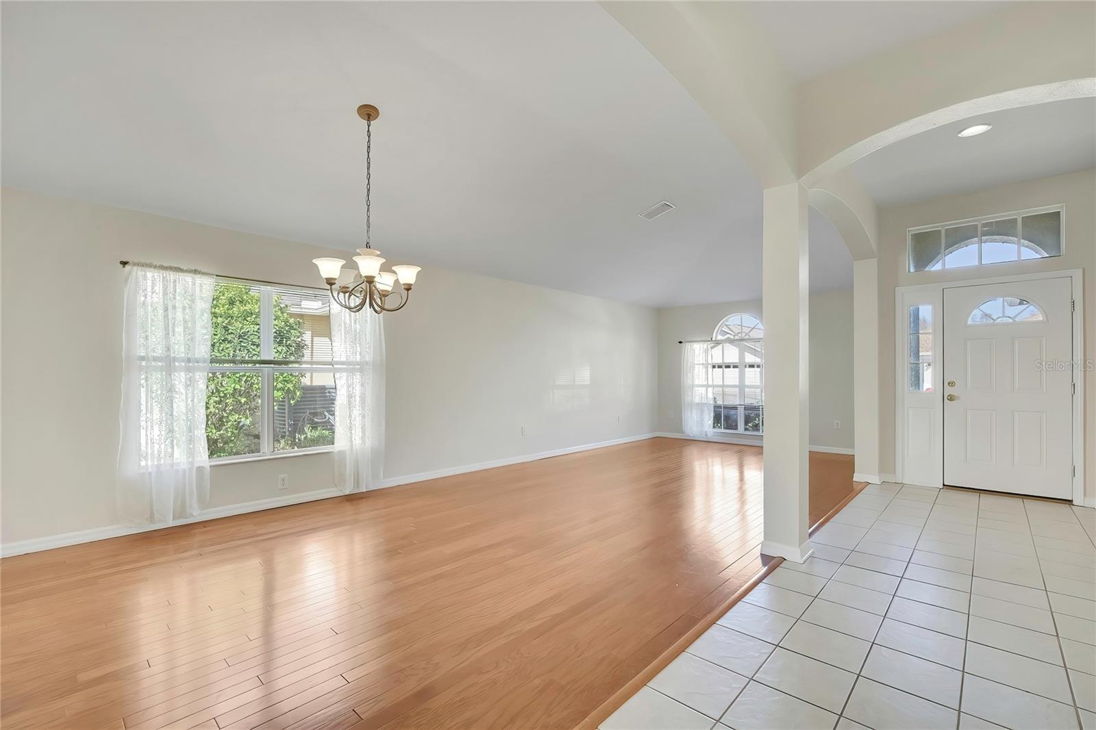 20738 NECTARINE PL, LAND O LAKES, FL, 34637