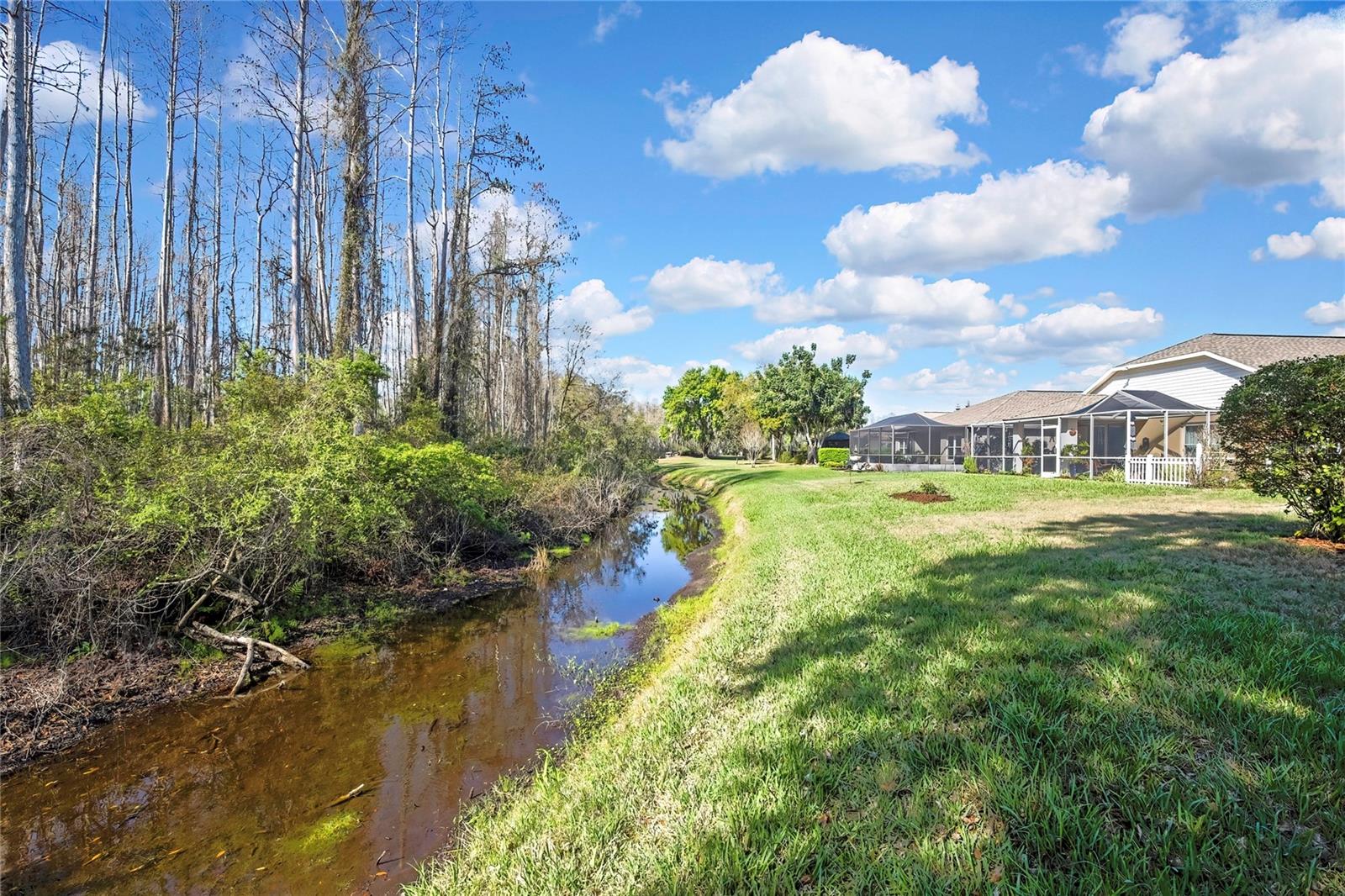 20738 NECTARINE PL, LAND O LAKES, FL, 34637