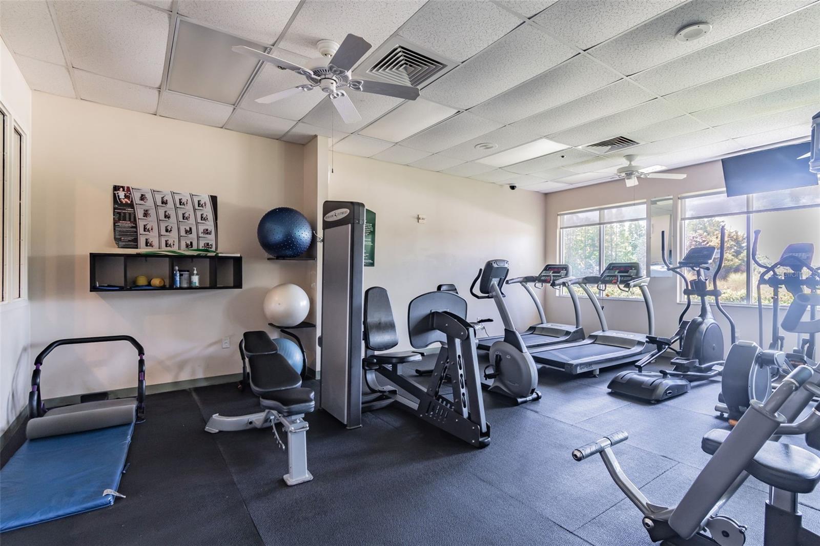 20738 NECTARINE PL, LAND O LAKES, FL, 34637