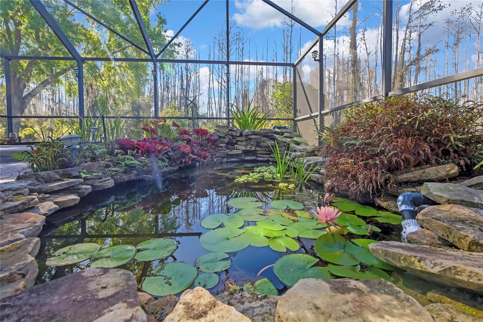 20738 NECTARINE PL, LAND O LAKES, FL, 34637