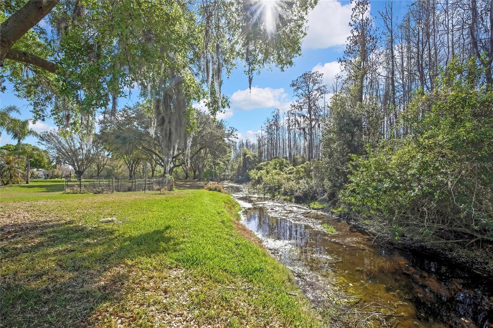 20738 NECTARINE PL, LAND O LAKES, FL, 34637