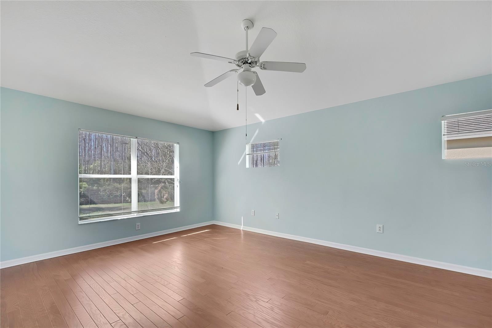 20738 NECTARINE PL, LAND O LAKES, FL, 34637