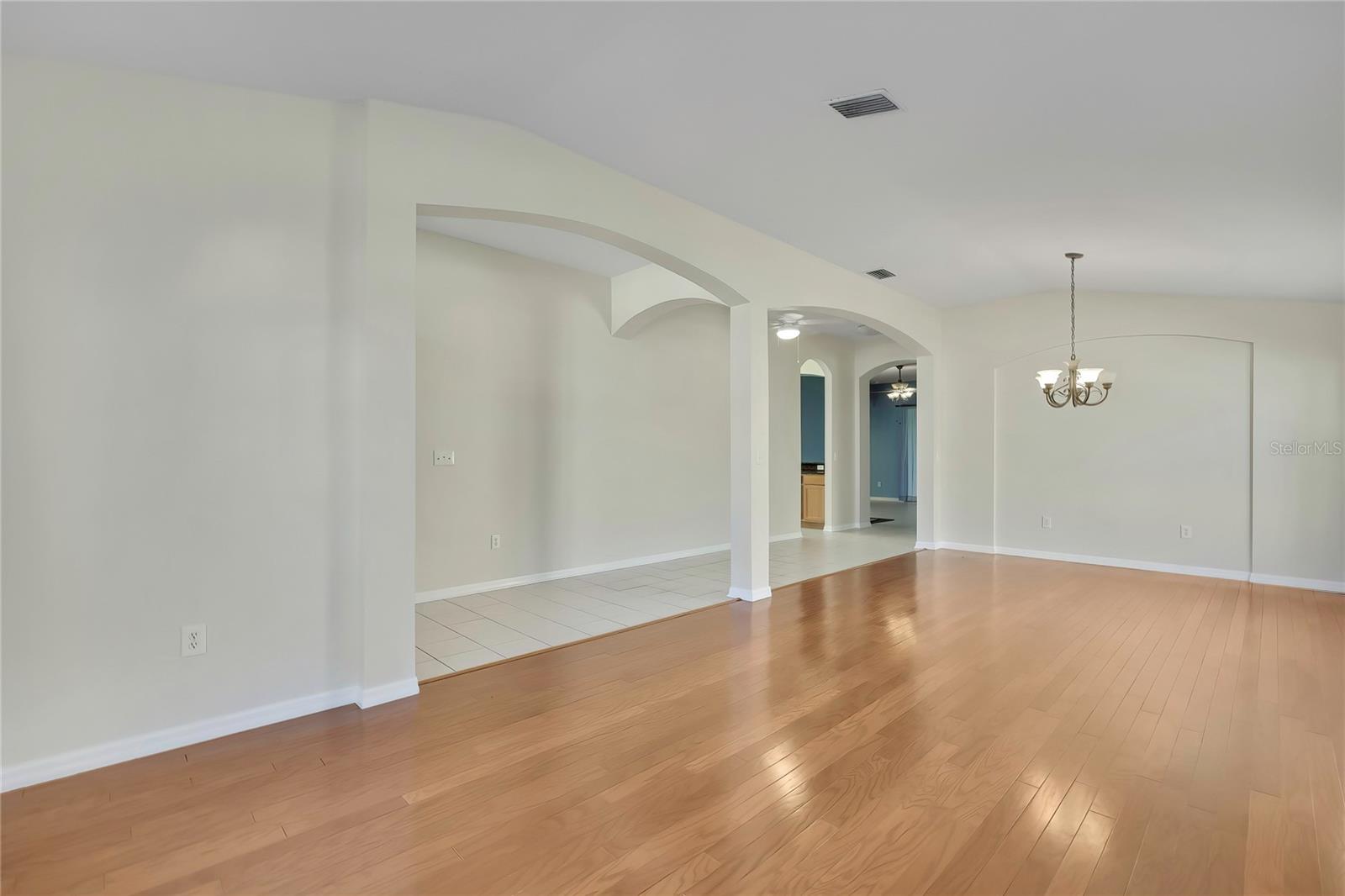 20738 NECTARINE PL, LAND O LAKES, FL, 34637