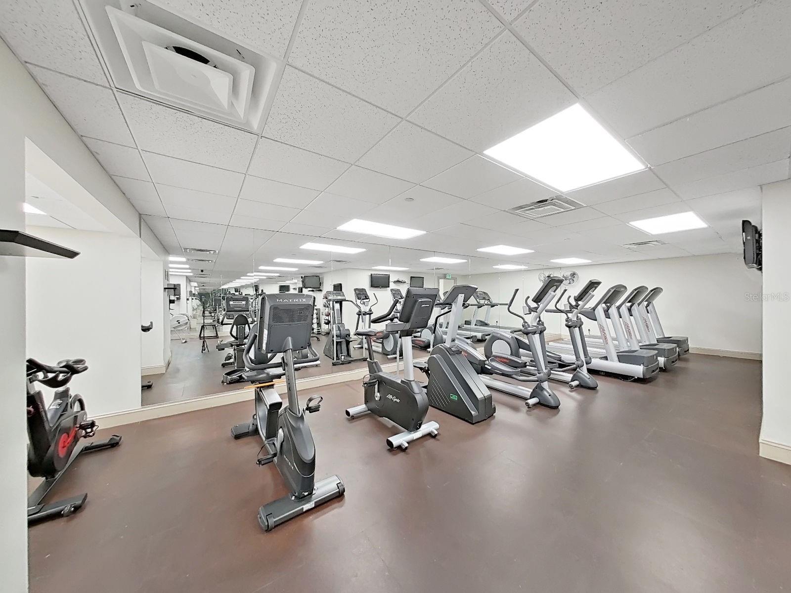 345 BAYSHORE BLVD #P4, TAMPA, FL, 33606