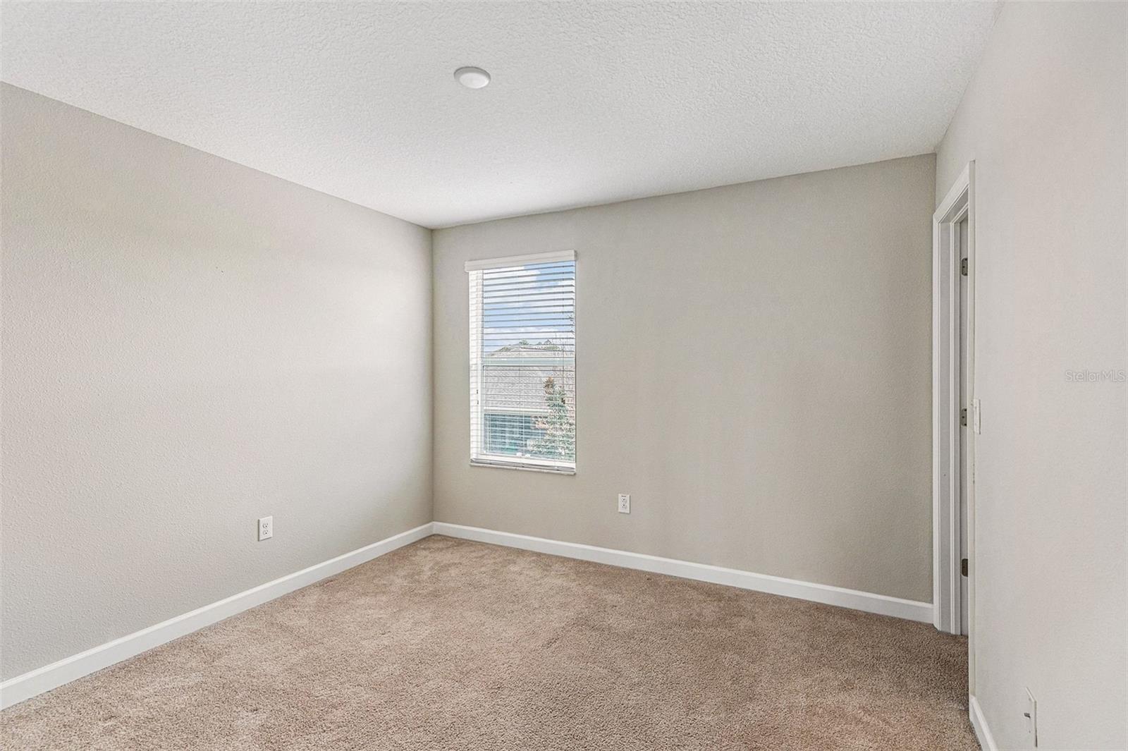 11755 WINTERSET COVE DR, RIVERVIEW, FL, 33579