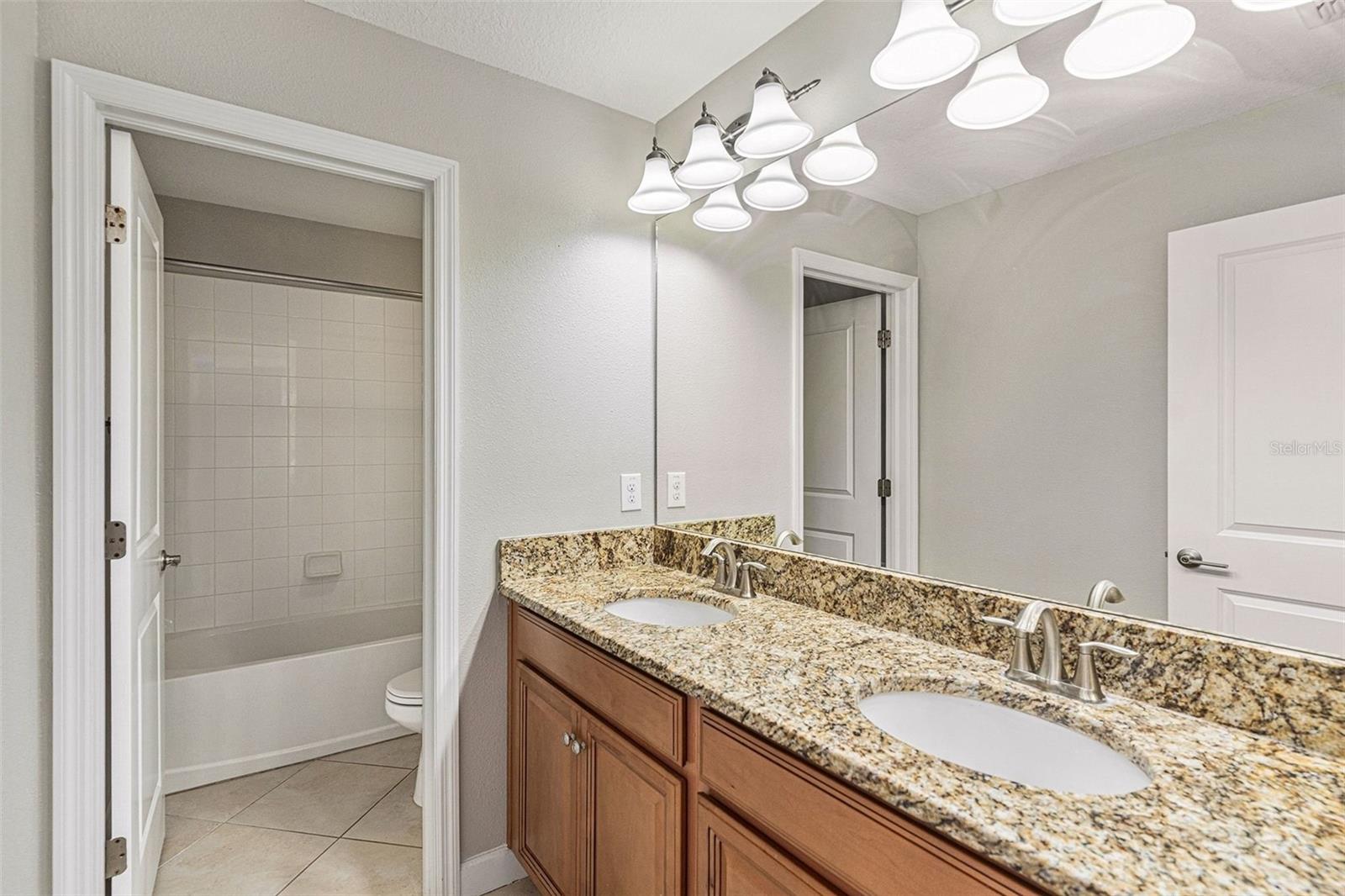 11755 WINTERSET COVE DR, RIVERVIEW, FL, 33579