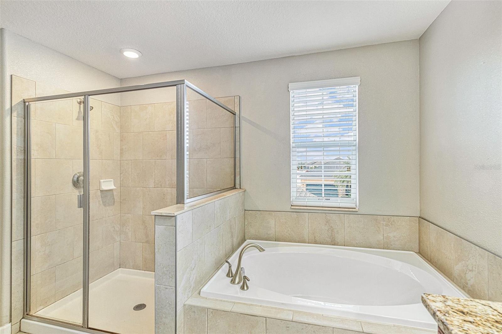 11755 WINTERSET COVE DR, RIVERVIEW, FL, 33579