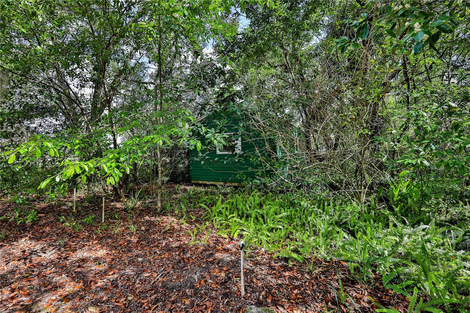 8178 PINEHURST DR, SPRING HILL, FL, 34606