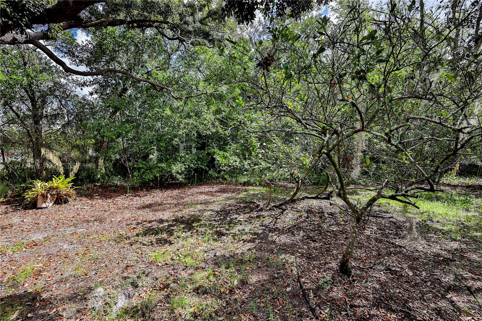 8178 PINEHURST DR, SPRING HILL, FL, 34606