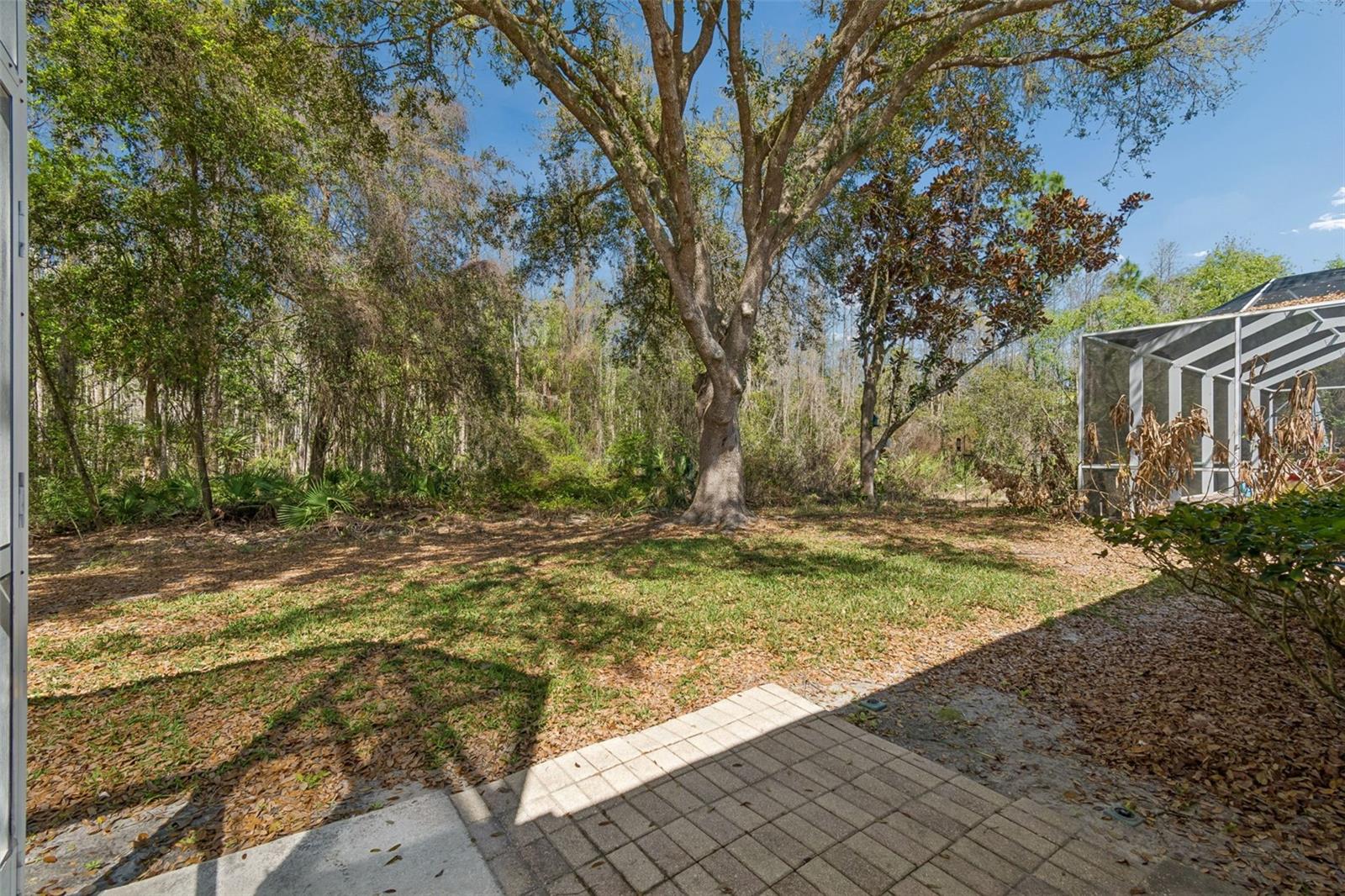 10162 DEERCLIFF DR, TAMPA, FL, 33647