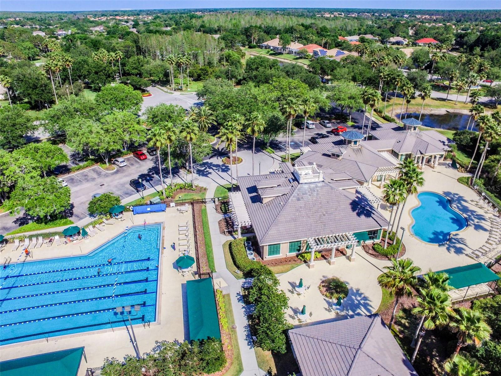 10162 DEERCLIFF DR, TAMPA, FL, 33647