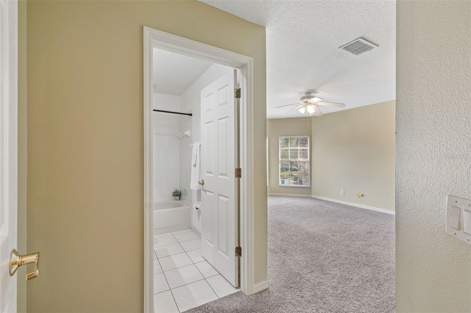 10162 DEERCLIFF DR, TAMPA, FL, 33647