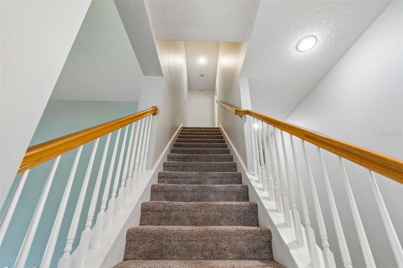 10162 DEERCLIFF DR, TAMPA, FL, 33647