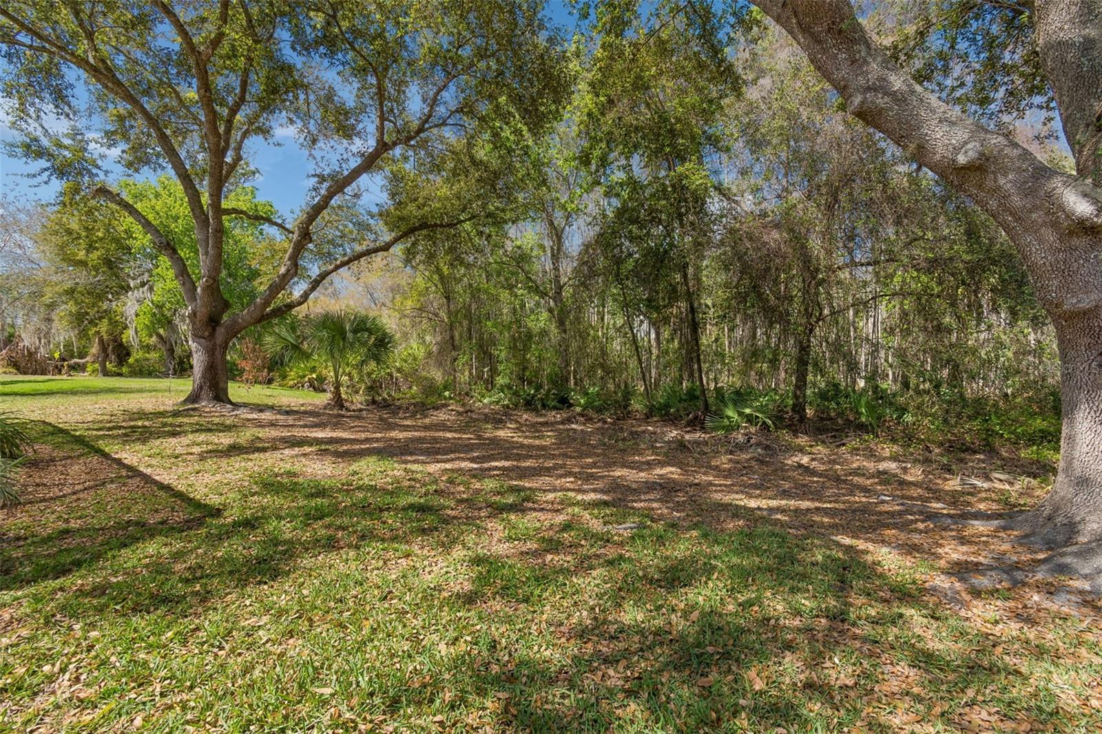 10162 DEERCLIFF DR, TAMPA, FL, 33647