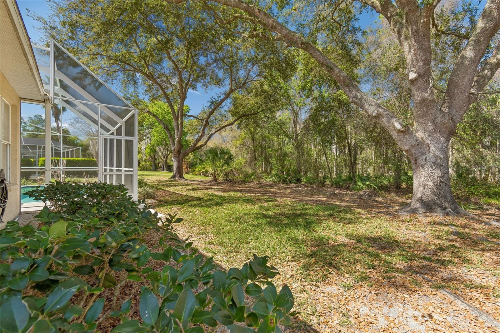 10162 DEERCLIFF DR, TAMPA, FL, 33647