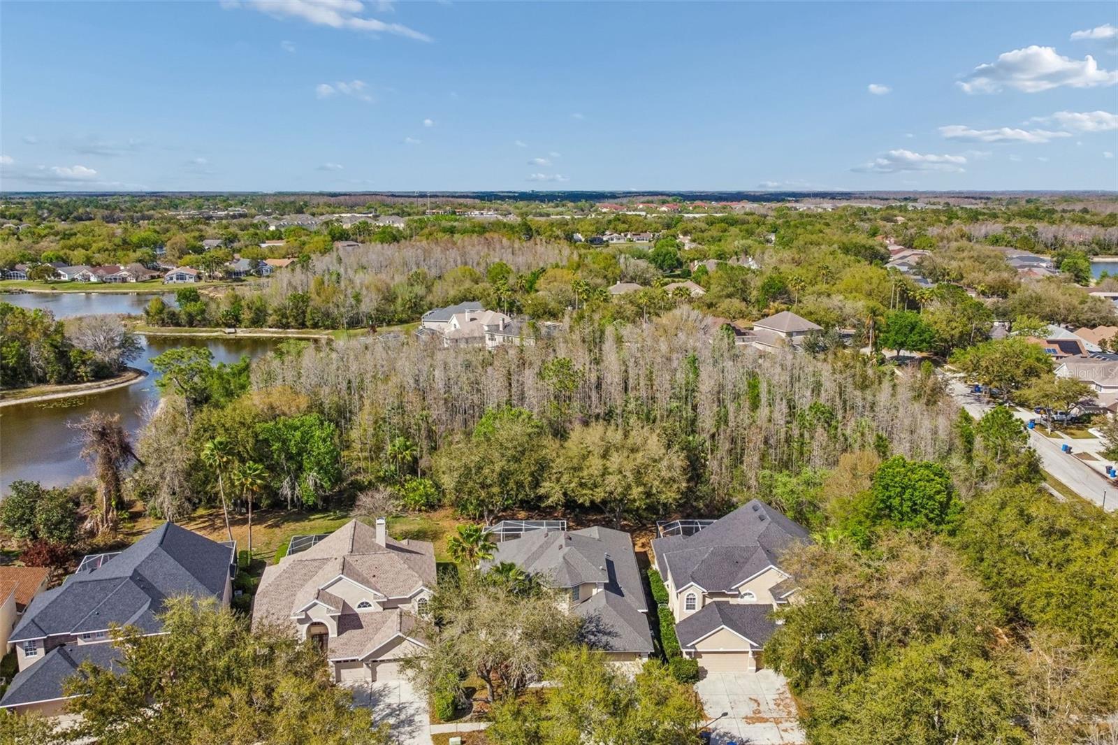10162 DEERCLIFF DR, TAMPA, FL, 33647