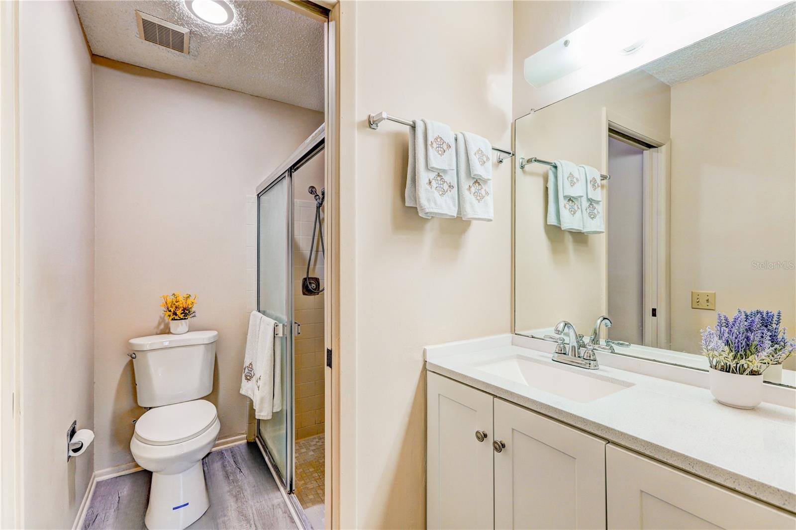 Upgraded primary Bathroom