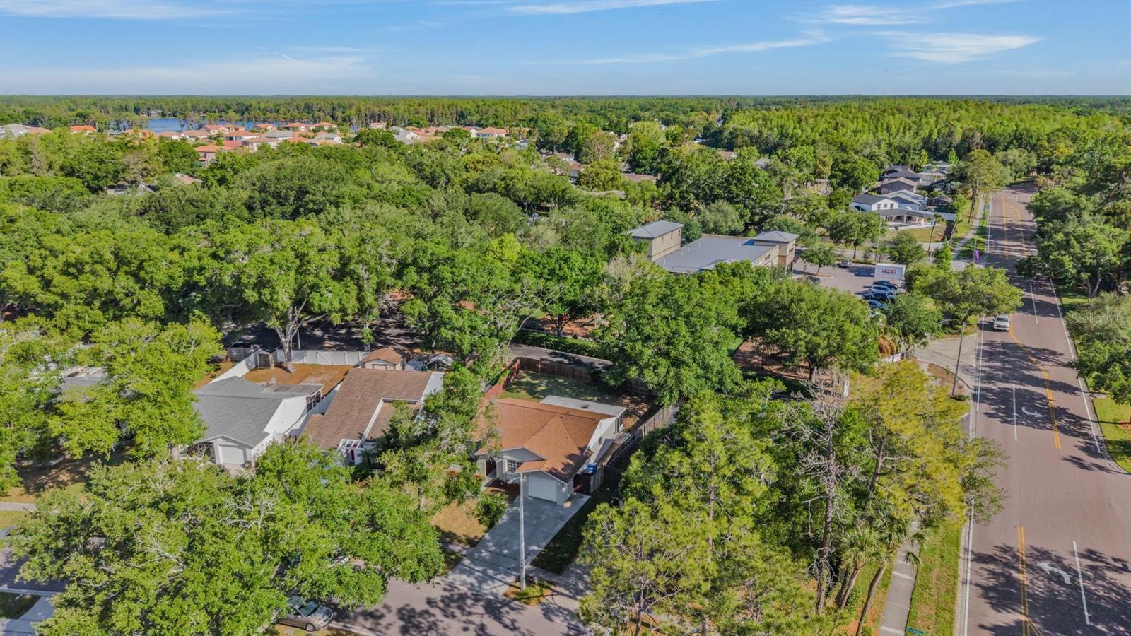 4903 TRASKWOOD CT, TAMPA, FL, 33624