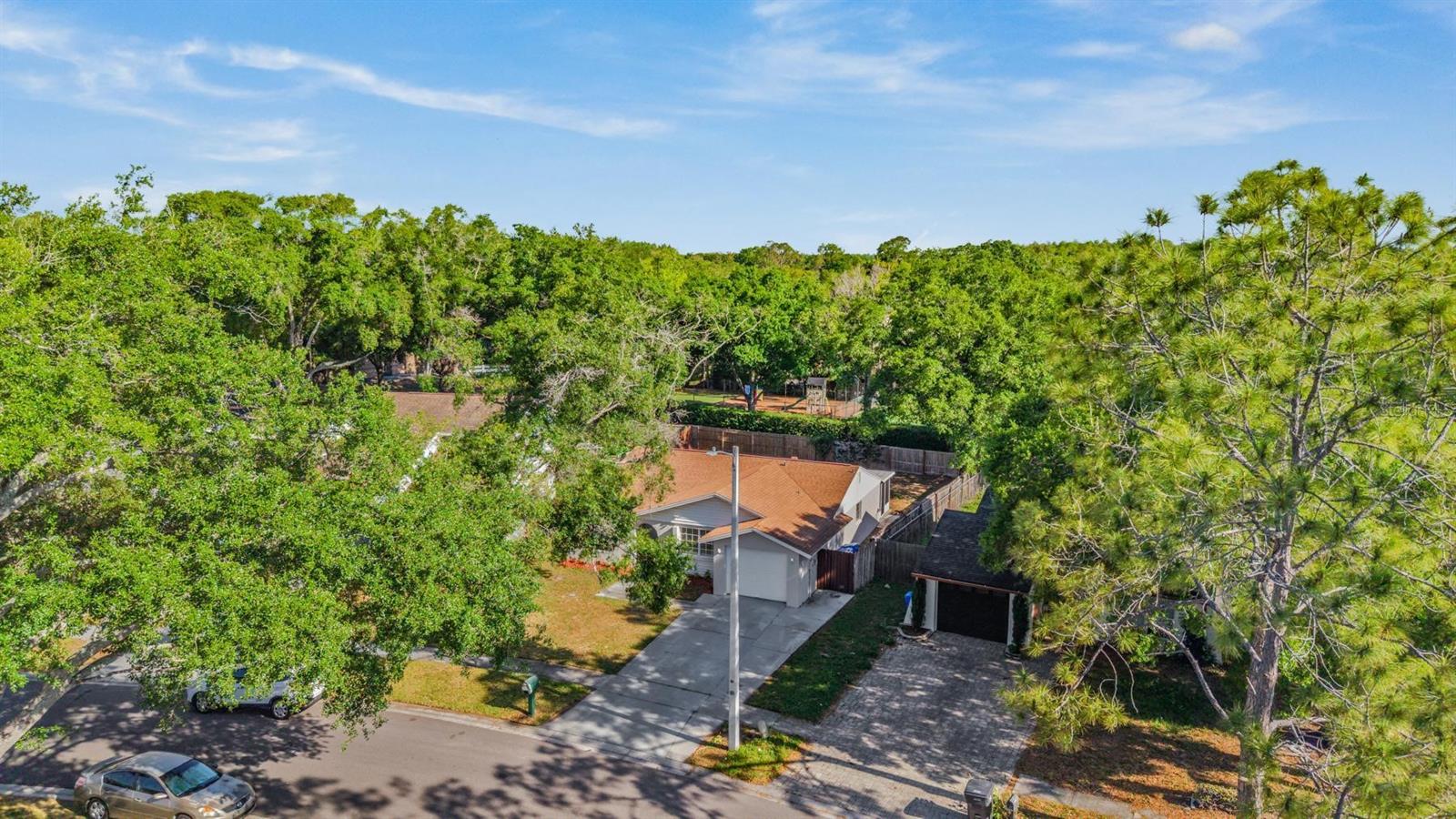 4903 TRASKWOOD CT, TAMPA, FL, 33624